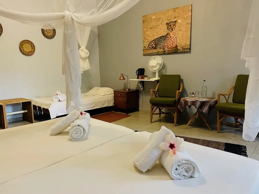 Family cheetah room